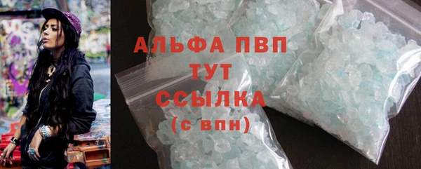 гашик Костерёво