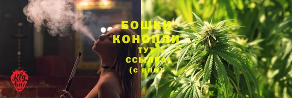 гашик Костерёво