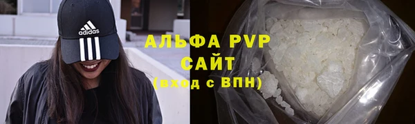гашик Костерёво