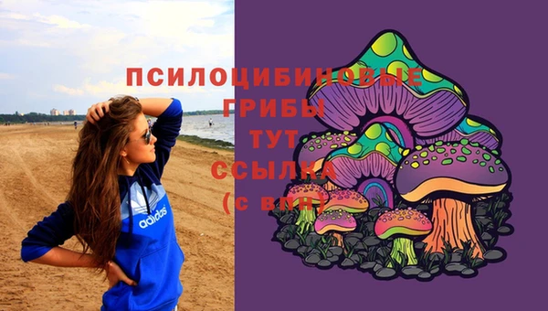 таблы Корсаков