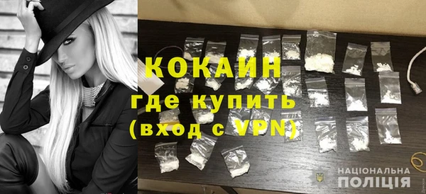 гашик Костерёво