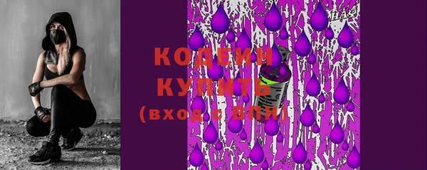 гашик Костерёво