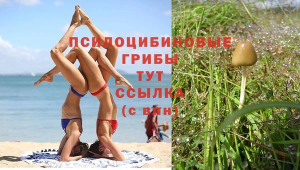 скорость Коряжма