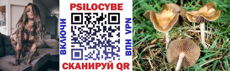 это официальный сайт  Суоярви  Псилоцибиновые грибы Magic Shrooms 
