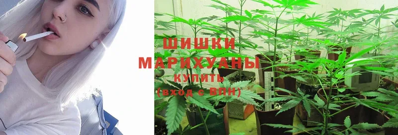 Бошки Шишки SATIVA & INDICA  Суоярви 